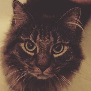 Meet your Posher, Jeff